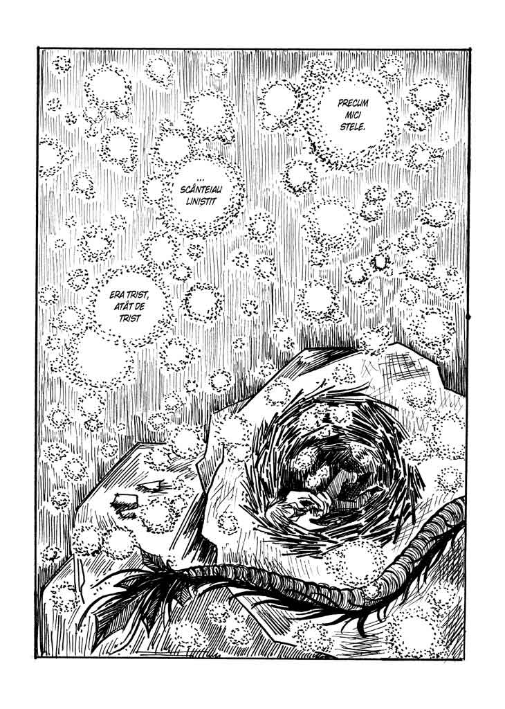 Colecționarul de basme - D'Ale Apei - pagina 26