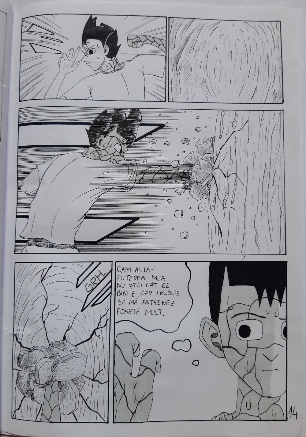 ROCKMAN - Stăpânirea puterii - pagina 14