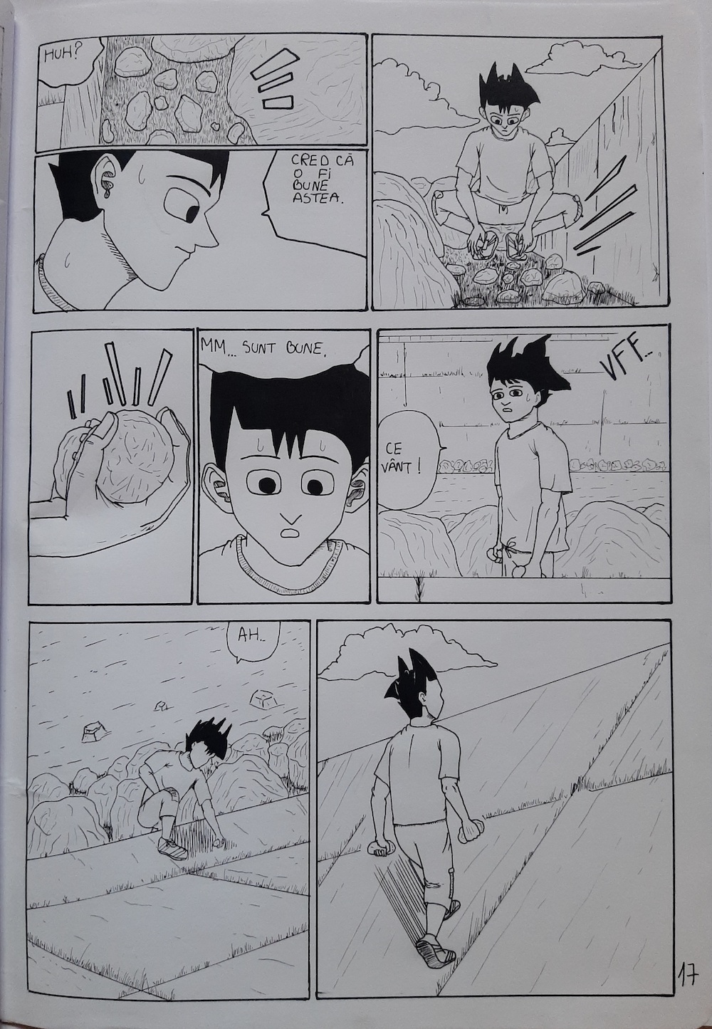 ROCKMAN - Stăpânirea puterii - pagina 17